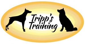 dog training st petersburg fl